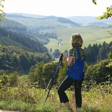 Gaestehaus Kramer - Emde Willingen (Upland)