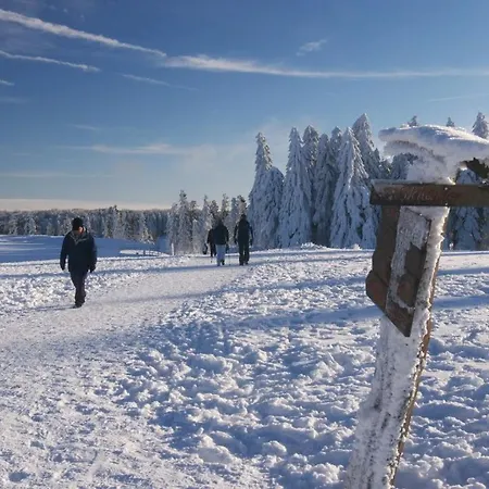 Gaestehaus Kramer - Emde Casa de hóspedes Willingen (Upland)