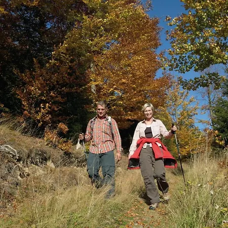 Gaestehaus Kramer - Emde Willingen (Upland)