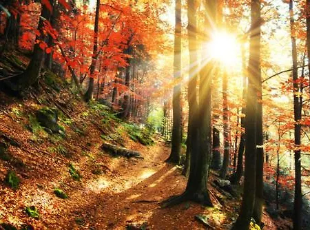 Pensjonat Gaestehaus Kramer - Emde 3*