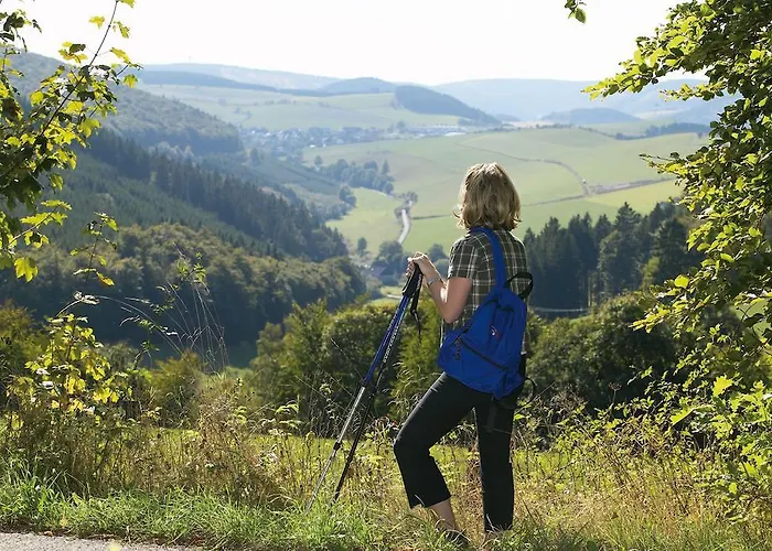 Gaestehaus Kramer - Emde Willingen (Upland)
