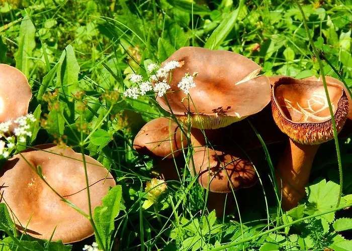 Gaestehaus Kramer - Emde