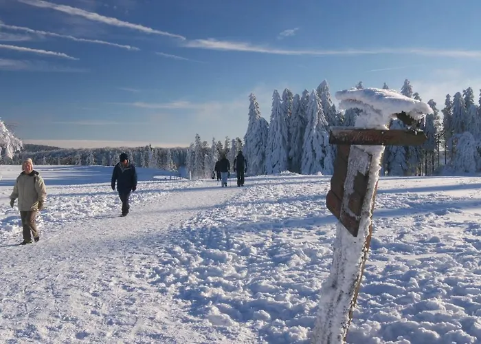 Gastehaus Kramer - Emde Maison d'hôtes Willingen (Upland)