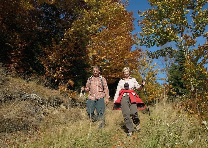 Gaestehaus Kramer - Emde Willingen (Upland)