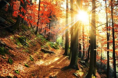 Pensión Gaestehaus Kramer - Emde 3*